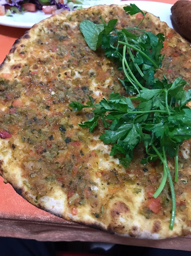 Gaziantepli Remzi Usta 4