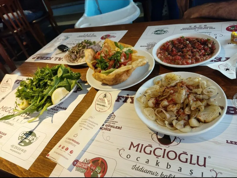 Mıgcıoglu Ocakbası 2