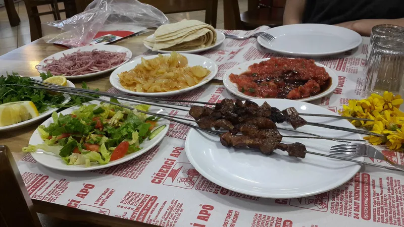 Ciğerci Apo 4
