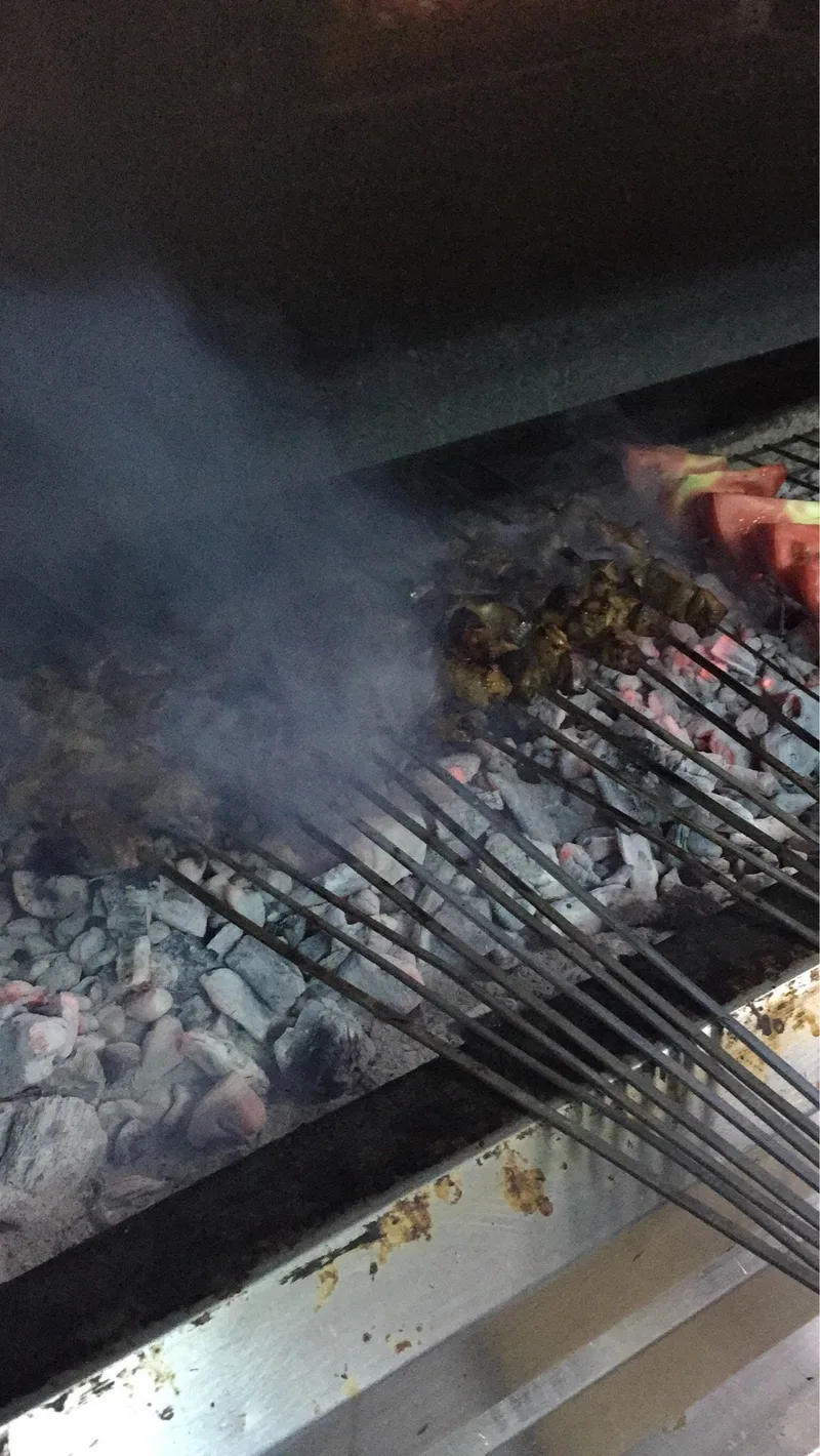 Ciğerci Apo 2